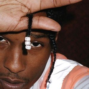 Meet your Posher, Harry